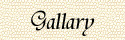 ギャラリィー